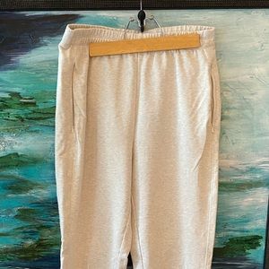 Aritzia Babaton joggers